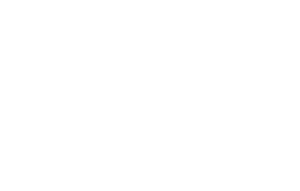 Computer Town Logo
